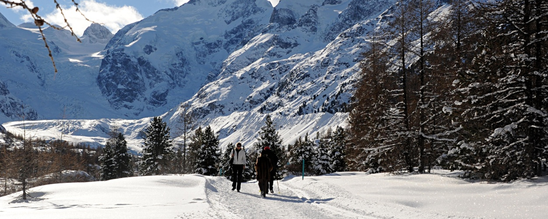 Winterwanderweg Morteratsch