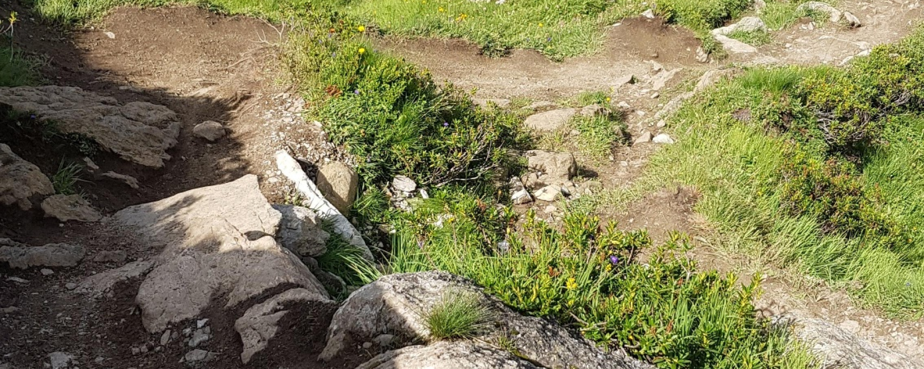 Steile Passage zum Schluss vom Trail