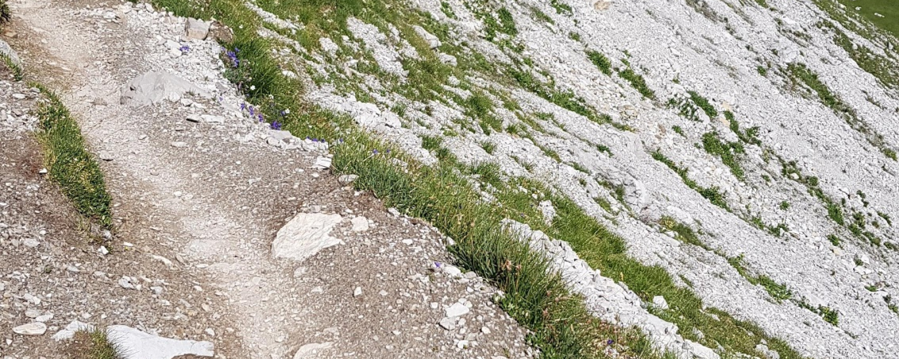 Einstieg Älplisee Trail