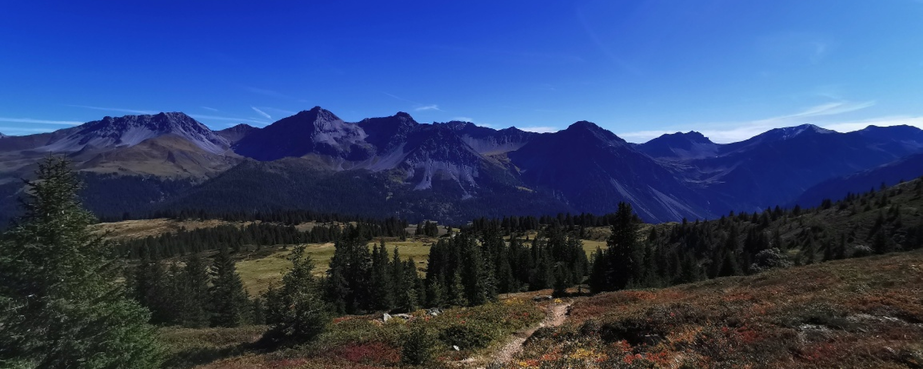Scheidegg Trail