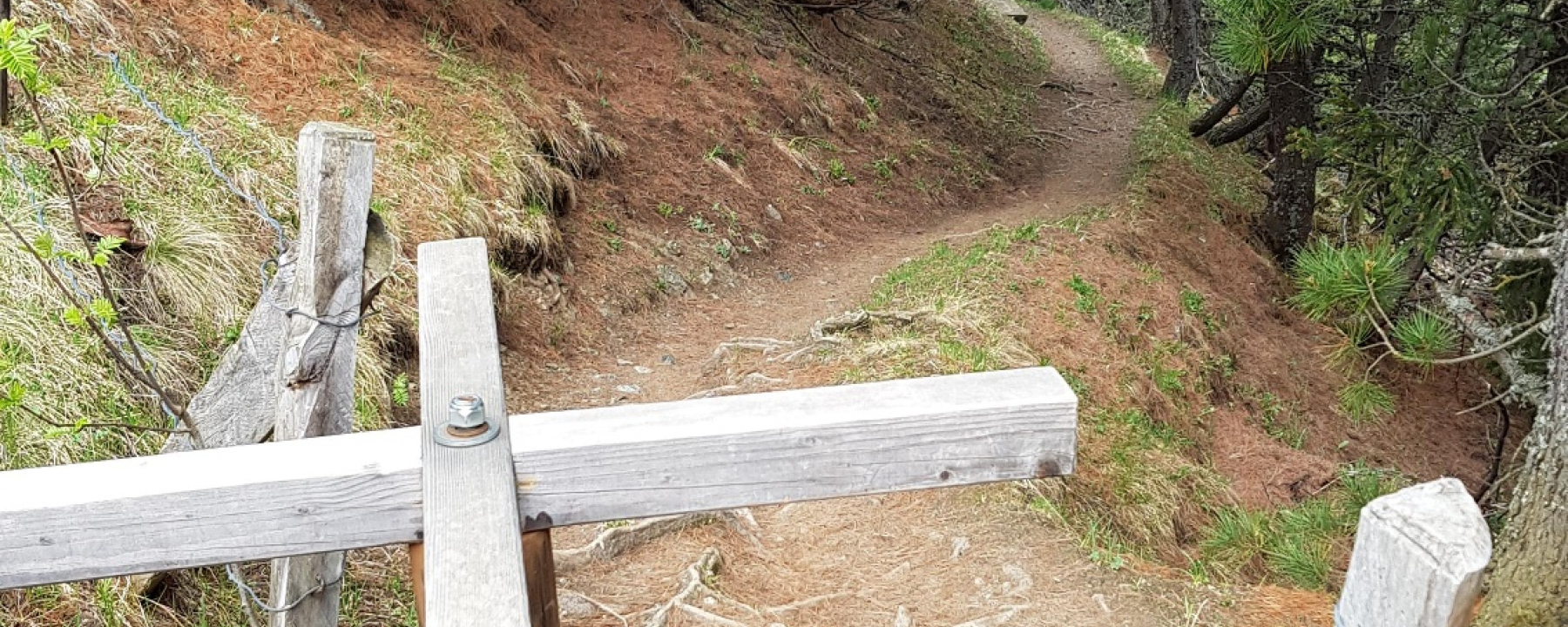 Kirchli Trail