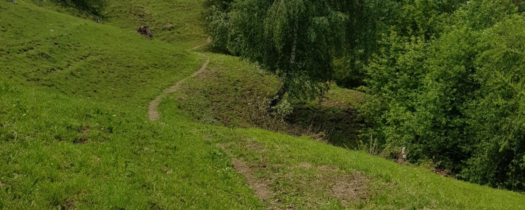 Trail von Tschiertschen nach Praden