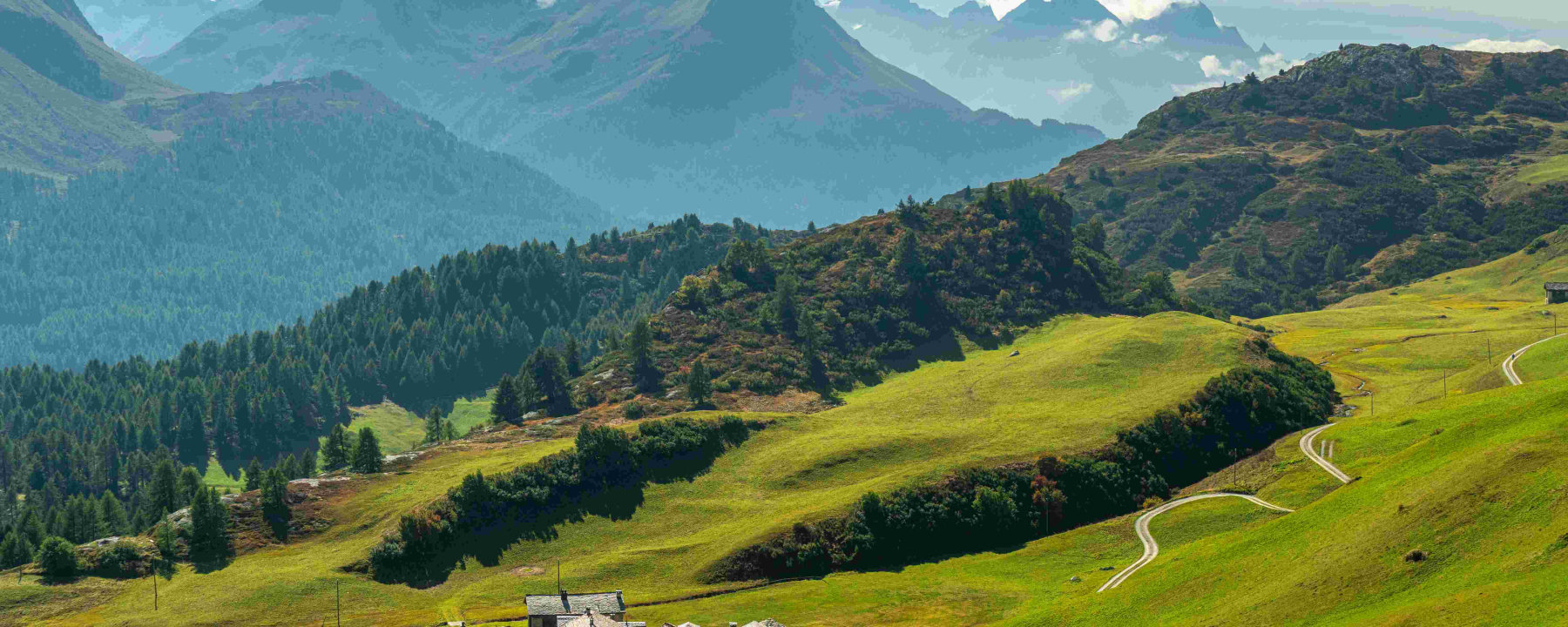 Blick auf Grevasalvas