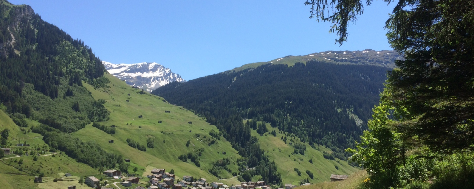 img_4kq_fahjicce