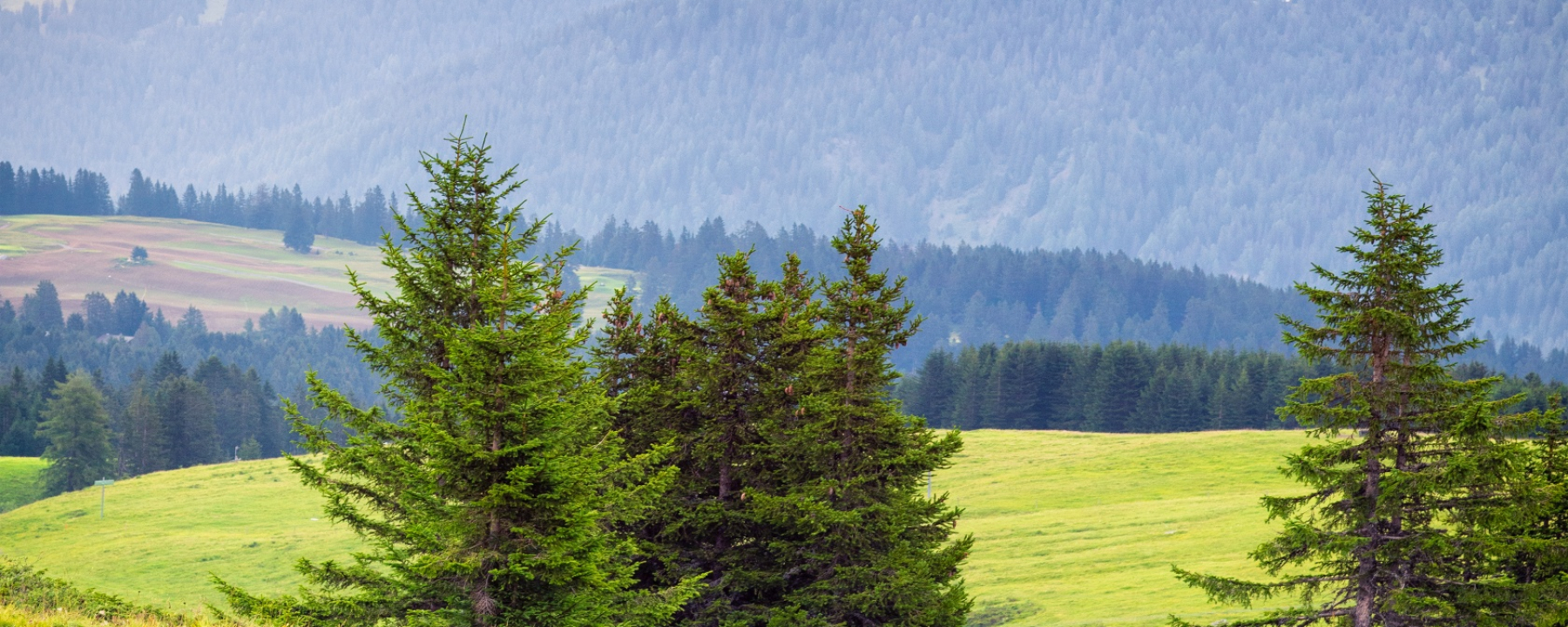 Arosa Bärenland