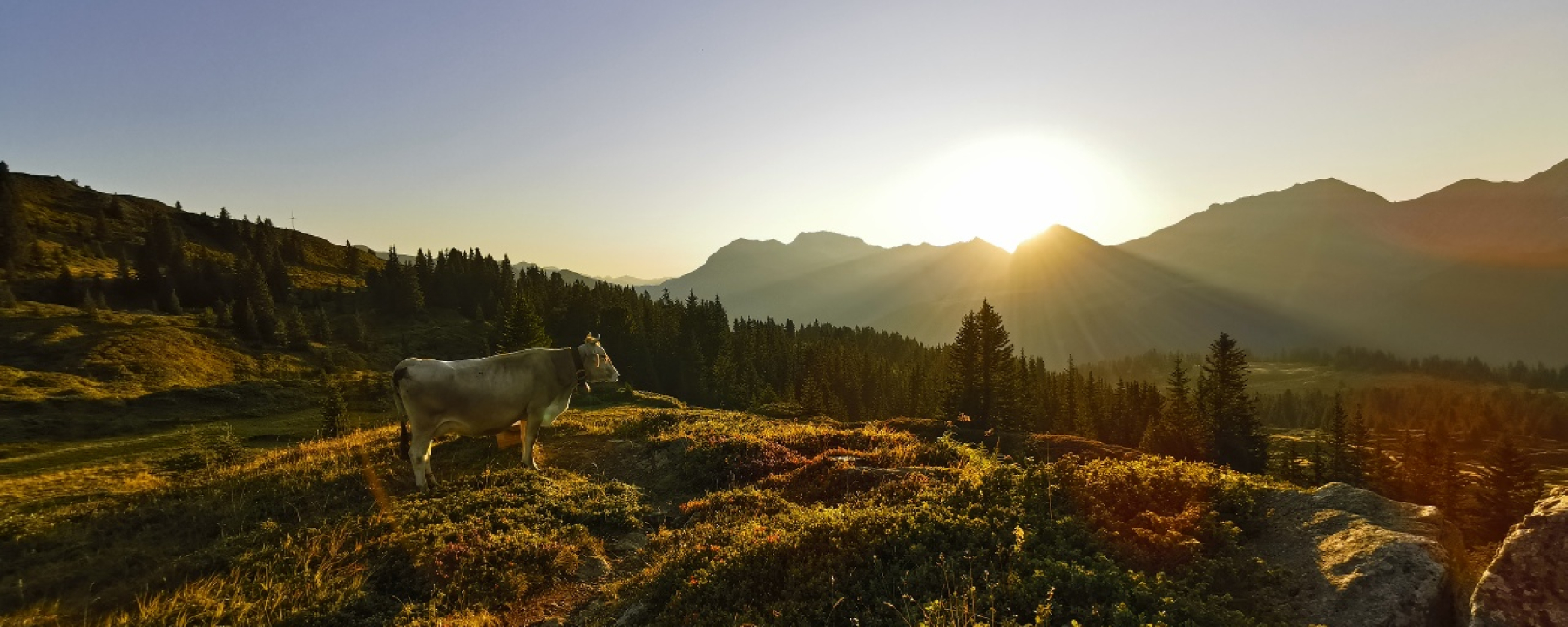 Morgensonne oberhalb vom General Guisan Platz