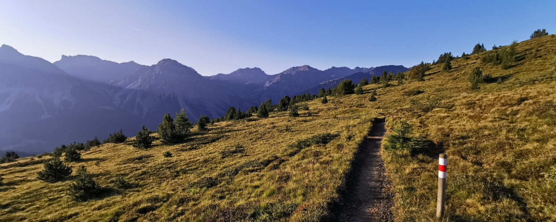 Vom Maraner Hauptji runter zur LAW-Mittelstation, kurz vor dem Föhrenwald