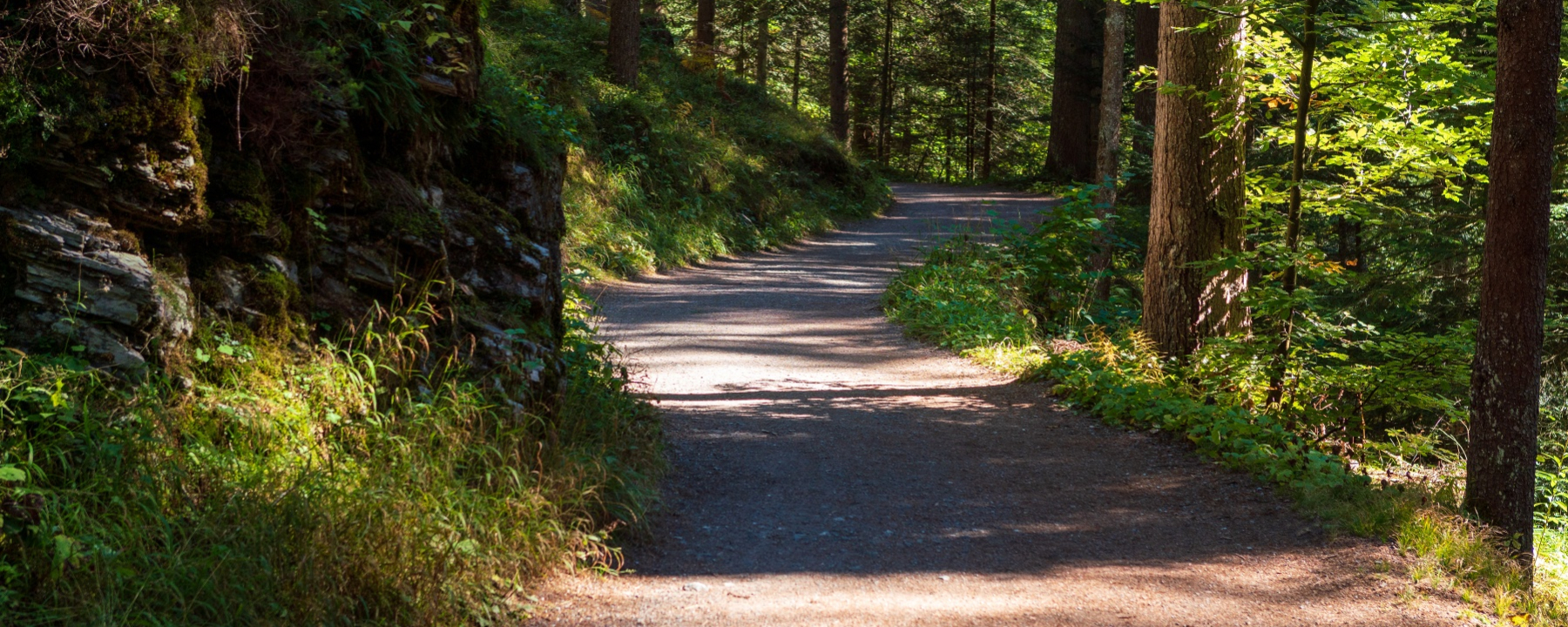 Flimser Wald