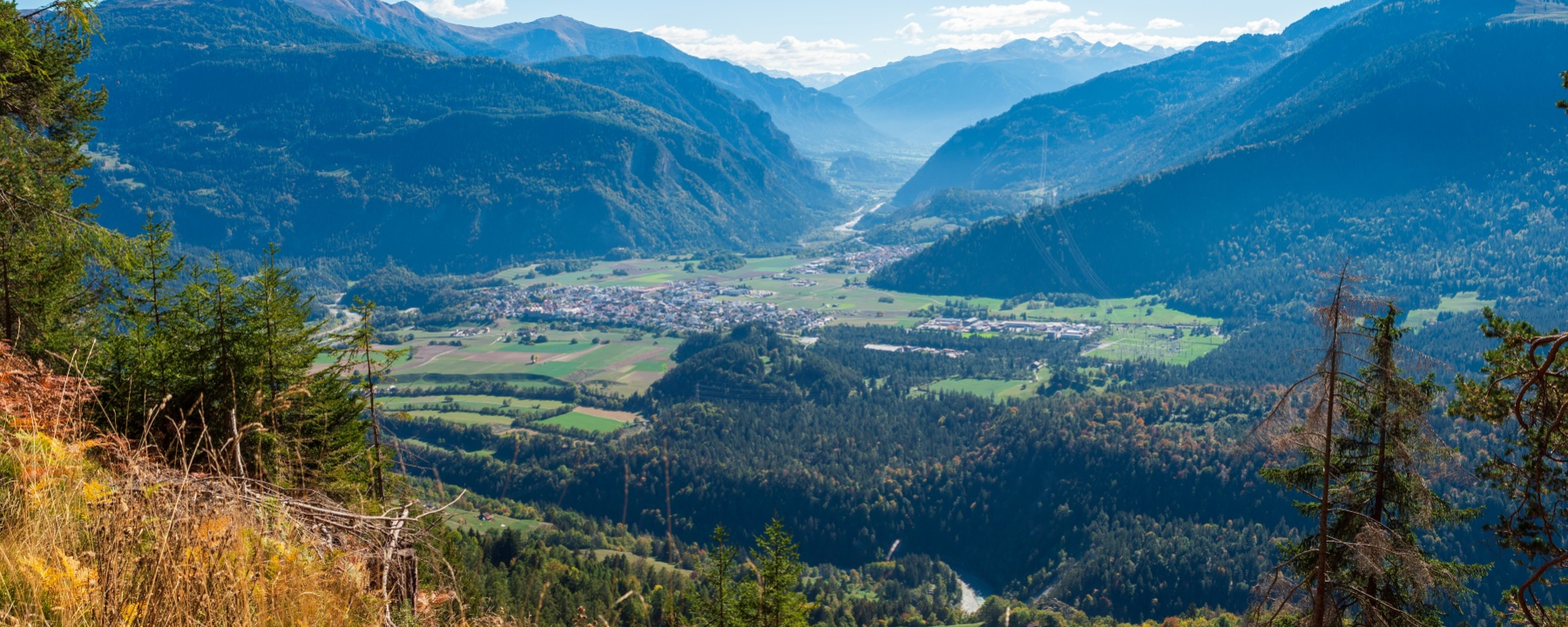 Alp Mora