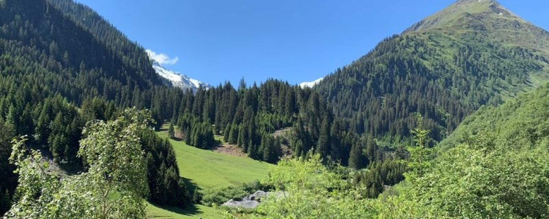 Plaun Tgiern, Vrin