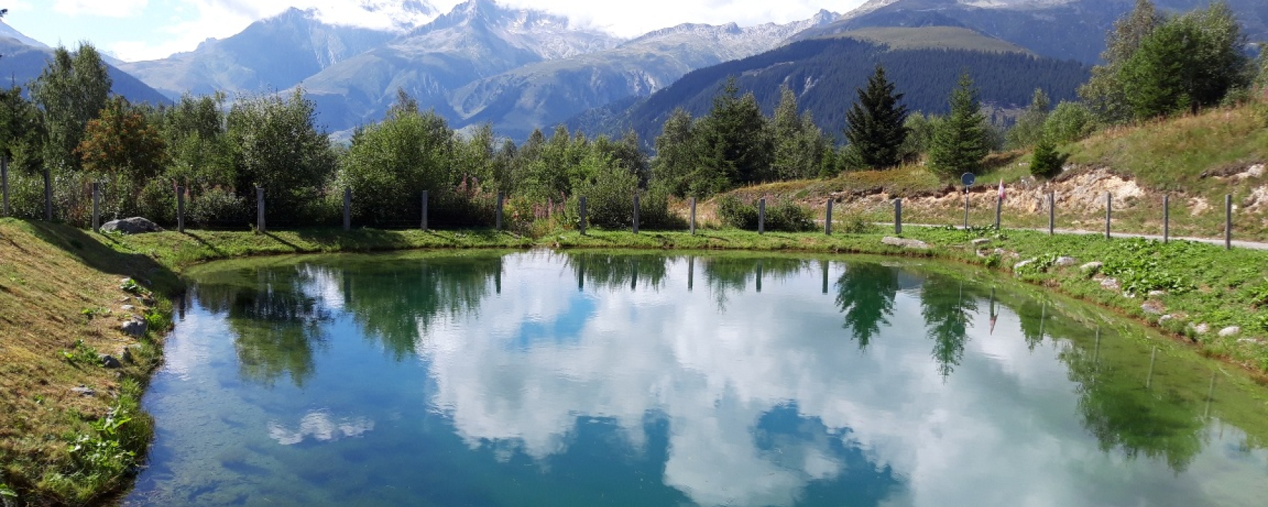 Weiher neben Feuerstelle