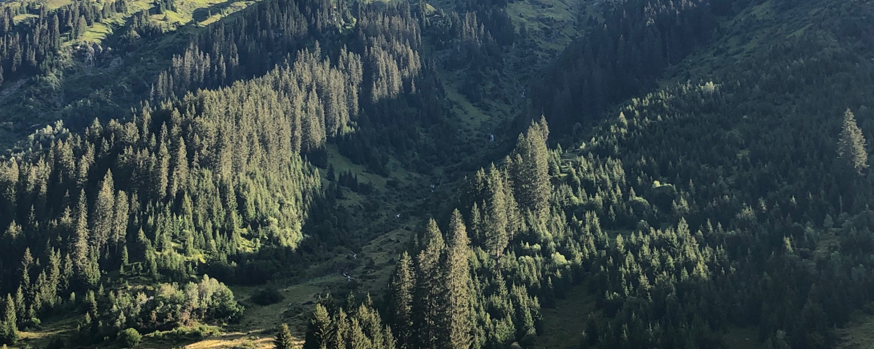 Alp Garfiun