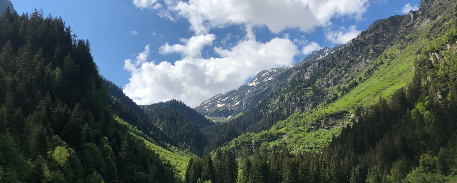 Alp Novai Blick Vereinatal