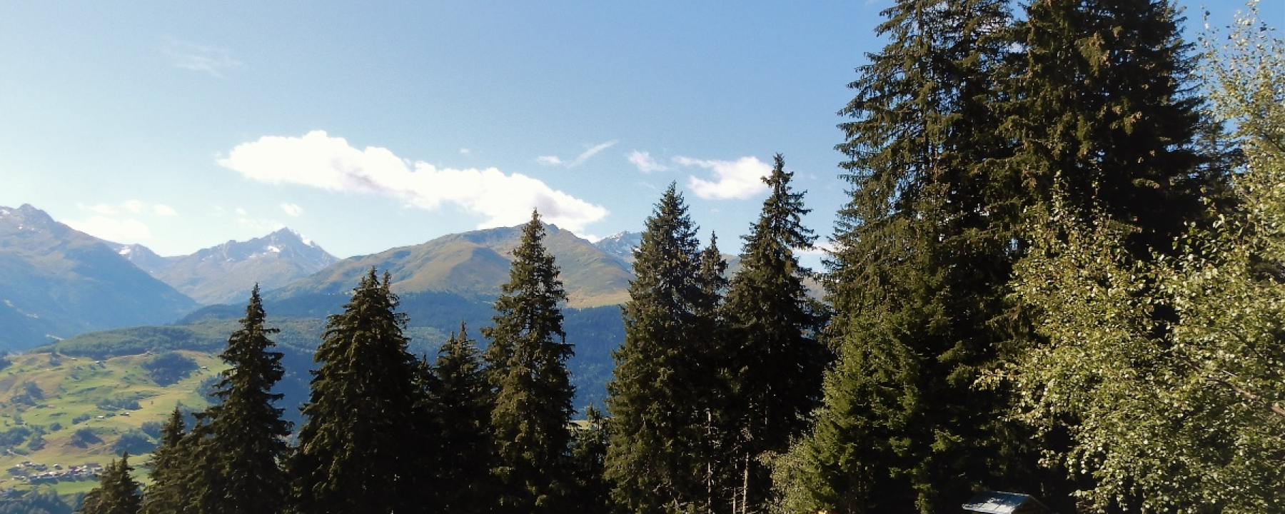 Plaun Grond
