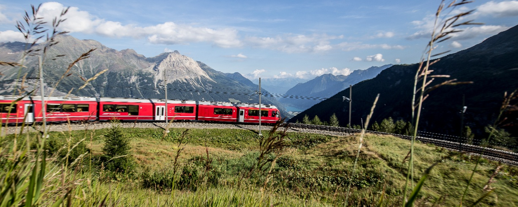 Alp Grüm