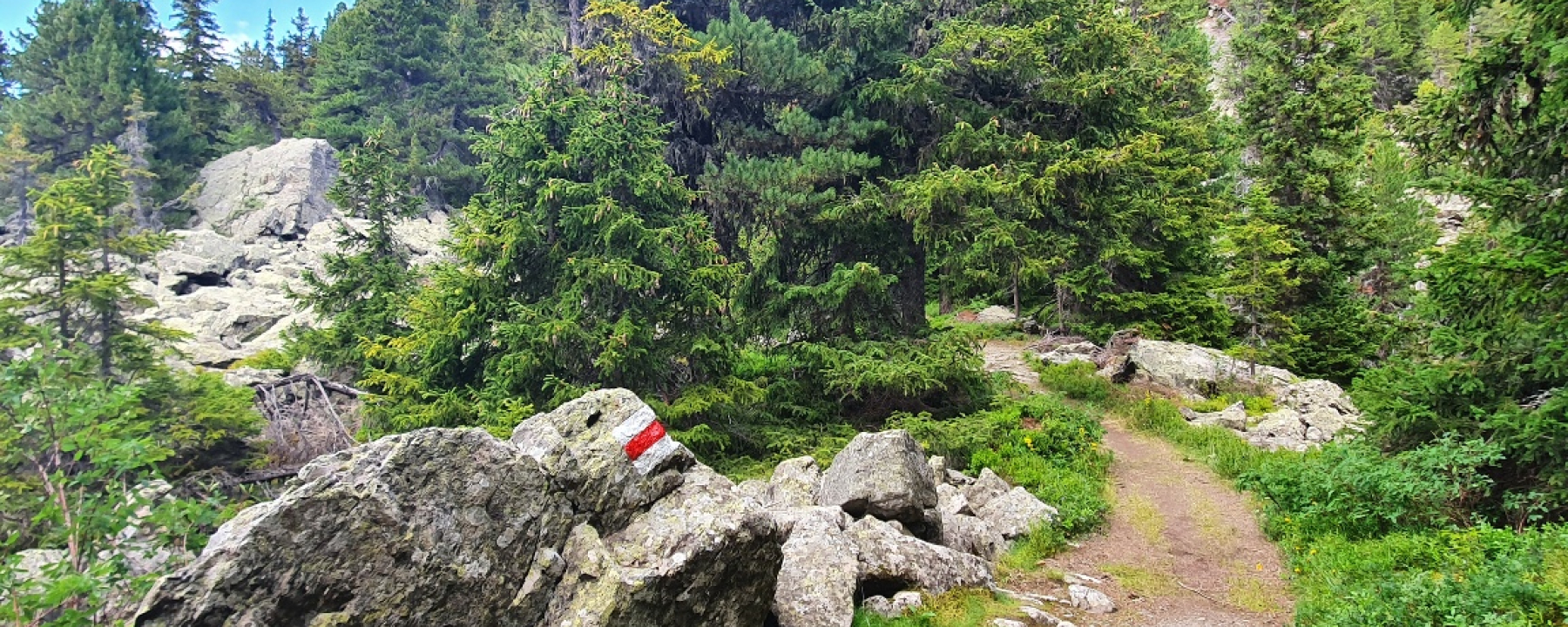bivio alp flix graubunden tourism