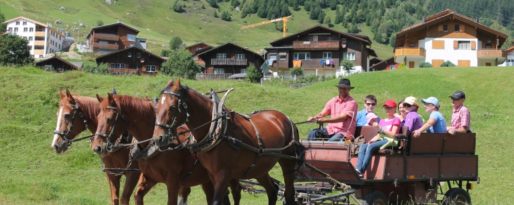 Kutschenfahrt im Sommer