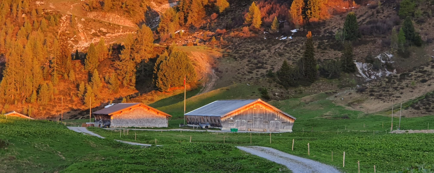 Frühlingserwachen auf der Alp Casanna