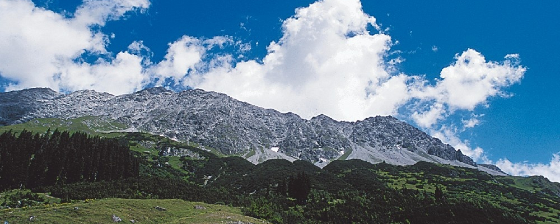 Hinter der Alp Vals trohnt die mächtige Schesaplana