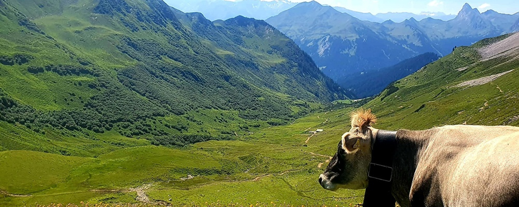 Ausblick in Richtung Valsertobel geniessen, warten bis Gäste vorbeikommen