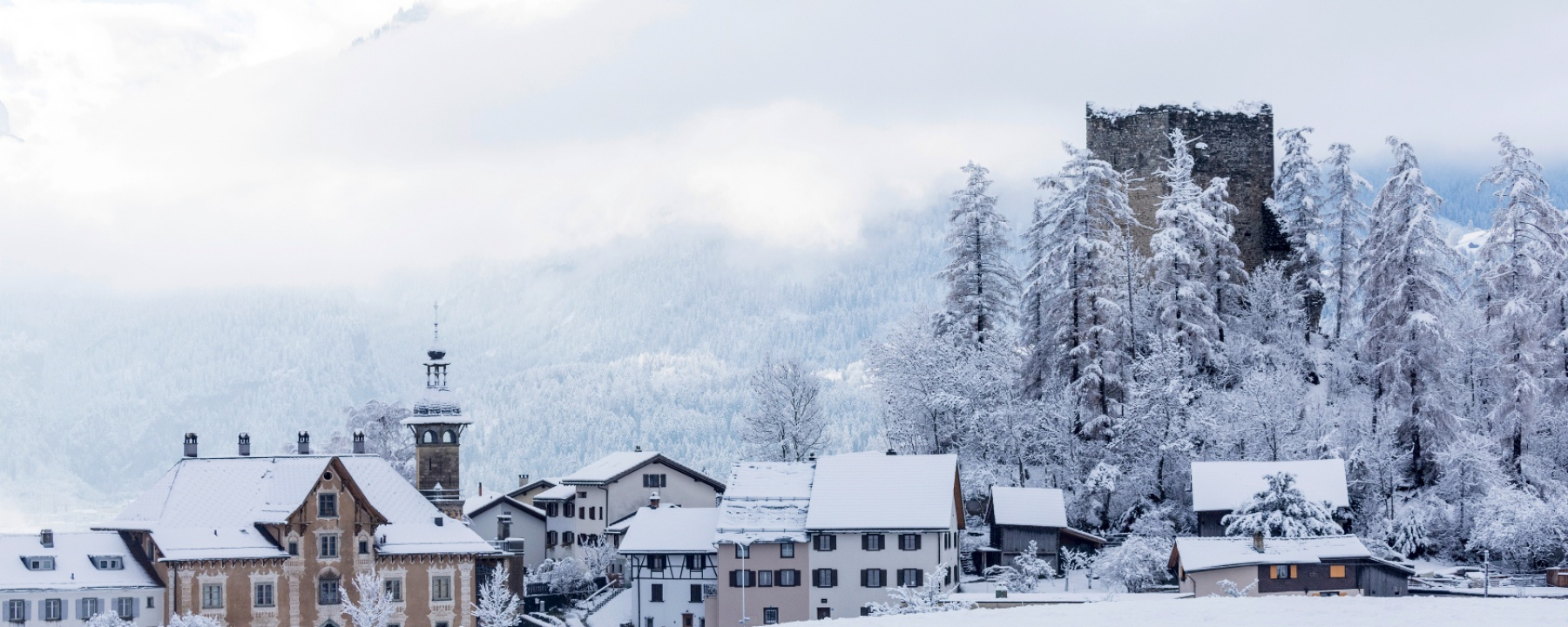 Schloss Sins mit der Ruine alt Sins