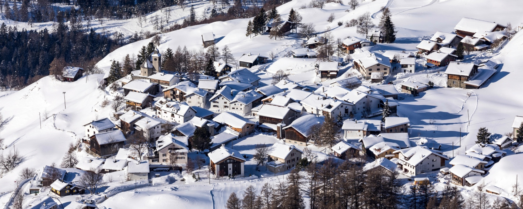 Feldis im Winter