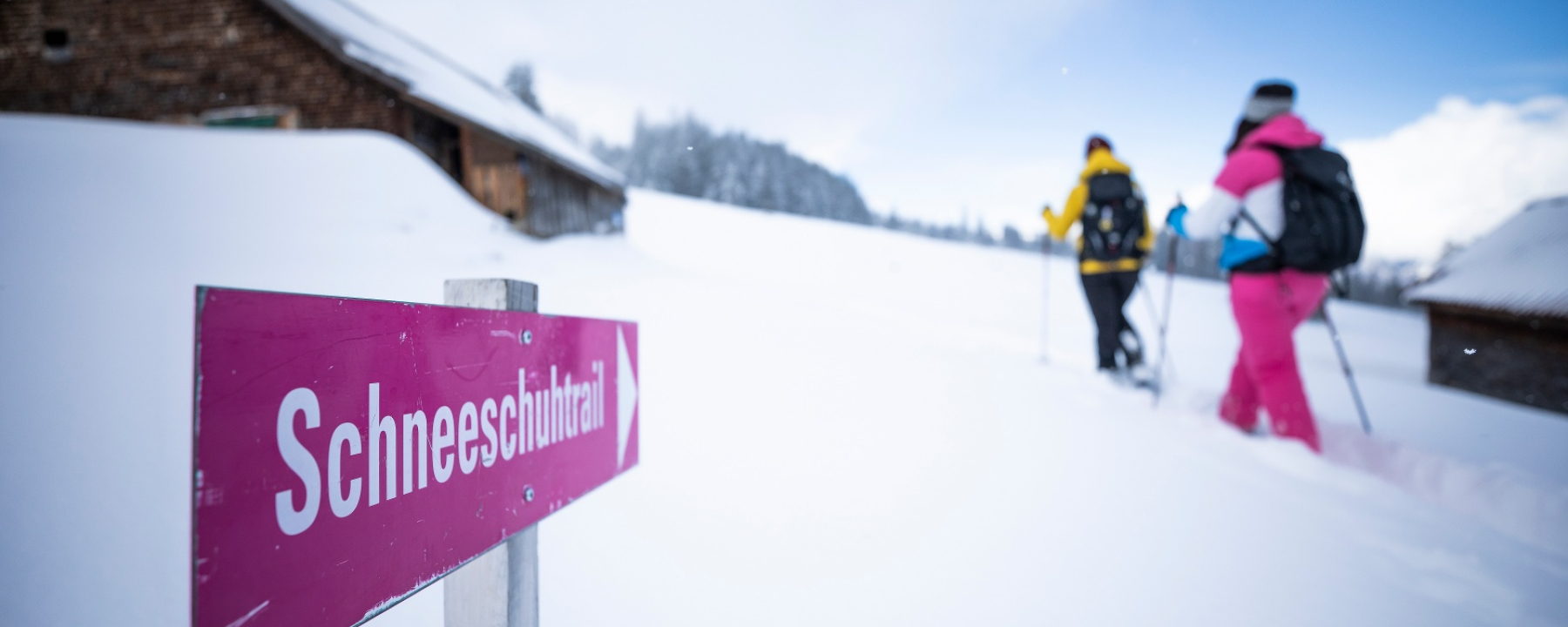 Signalisierter Schneeschuh-Trail Mädems bei Schönhalden