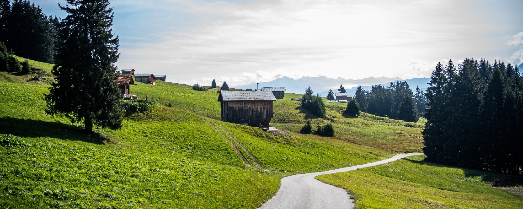 Strasse von Falera Richtung Curnius
