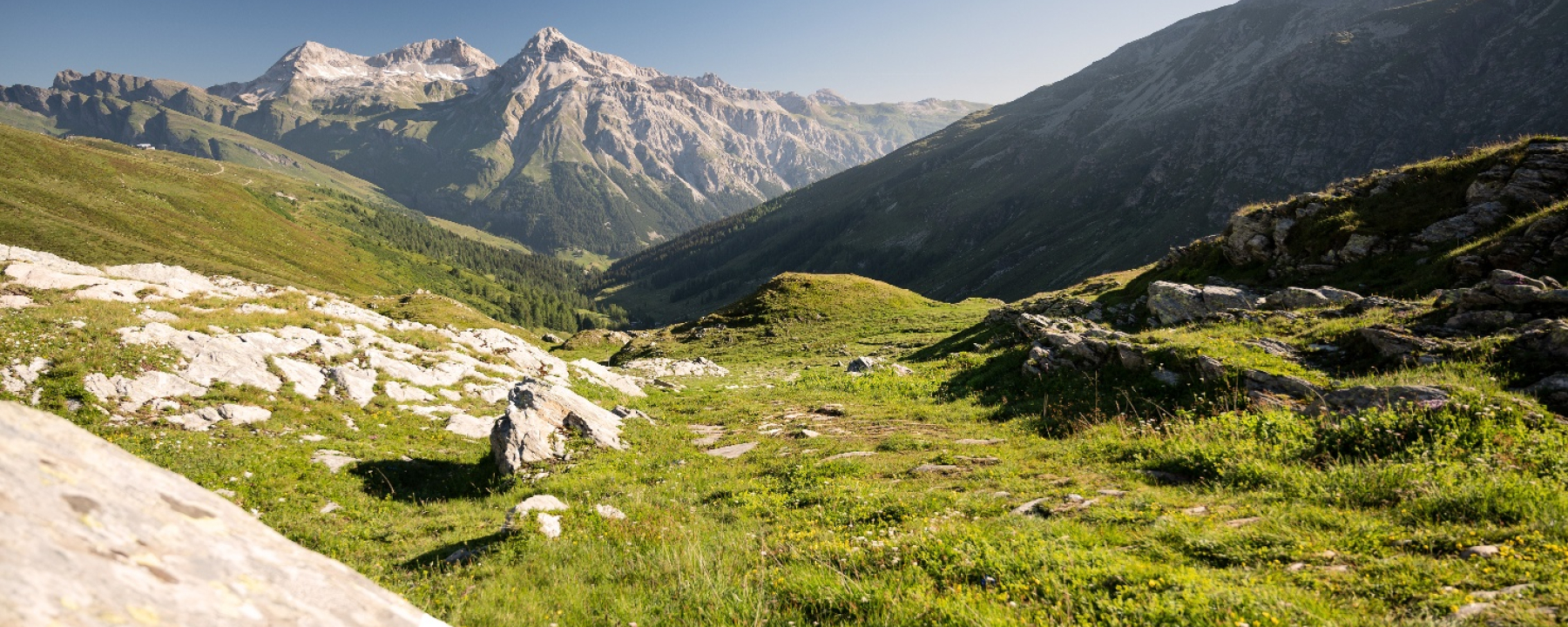 Splügenpass