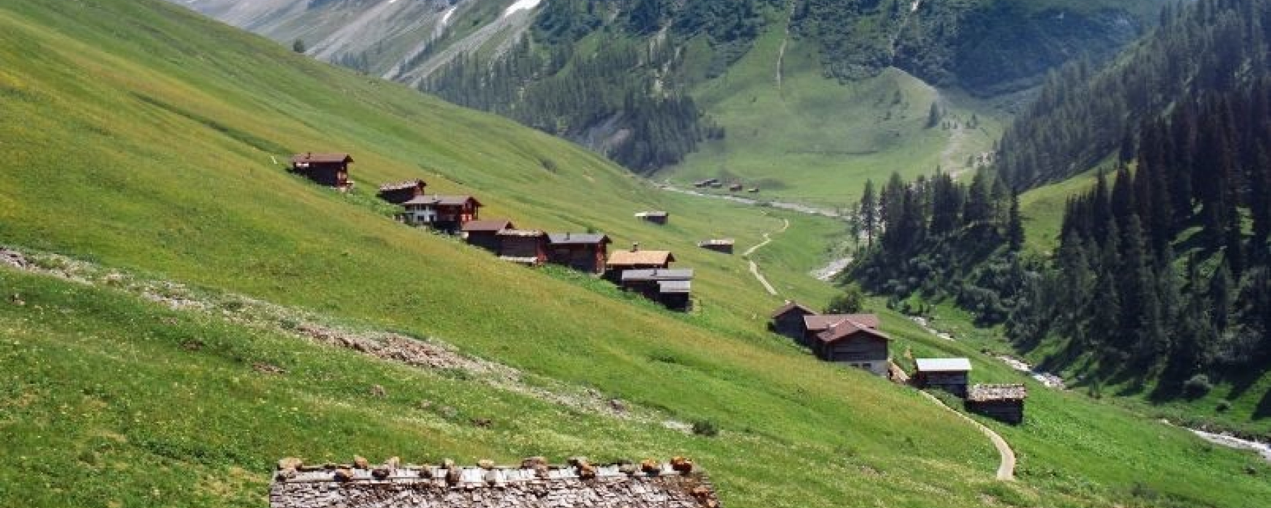 Walsedorf Sapün