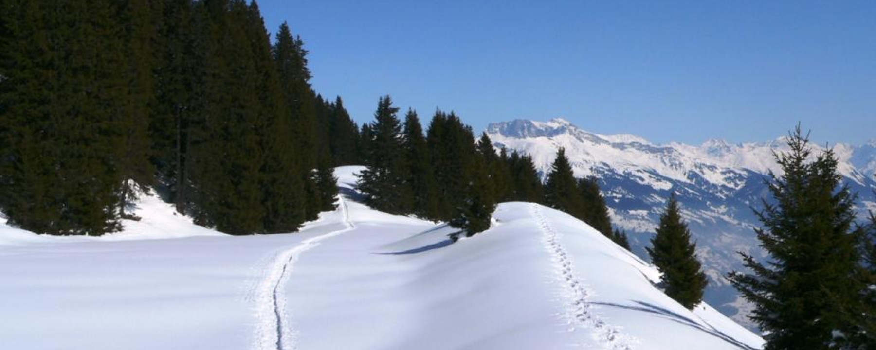 Schneeschuhspuren auf dem "Scäri"