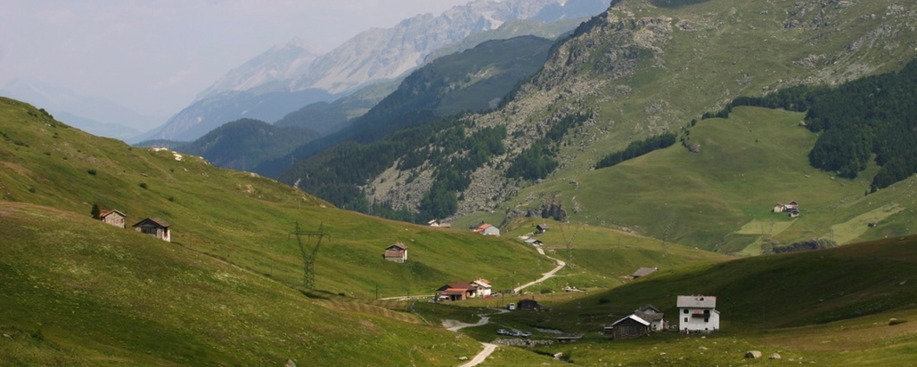 Blick über das Val Tgavregta mit den Alpen, die von Bergellern bestellt wurden.
