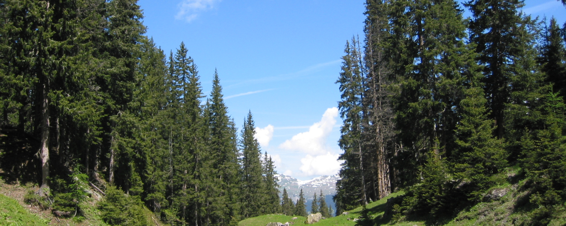 Etappe 17: Grüenseeli, Arosa