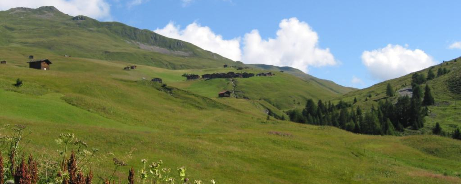 Etappe 18: Strassberg, Fondei