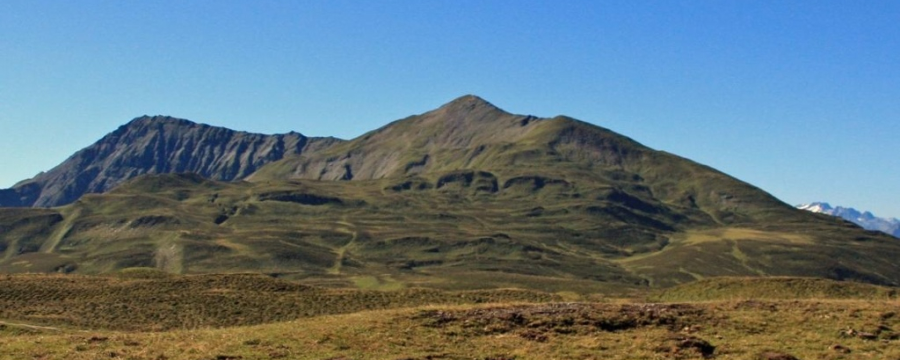 Fulhorn