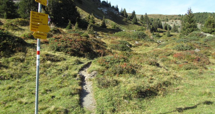 Wanderweg zum Weisshorn