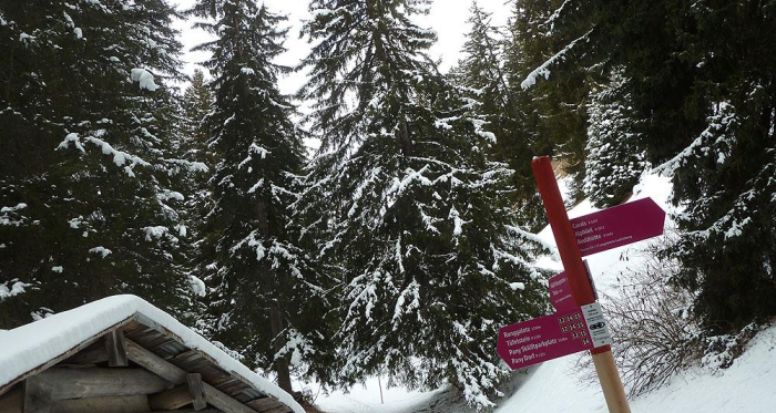 Lauschige Abschnitte durch den Winterwald (Verzweigungspunkt Waldhütte)