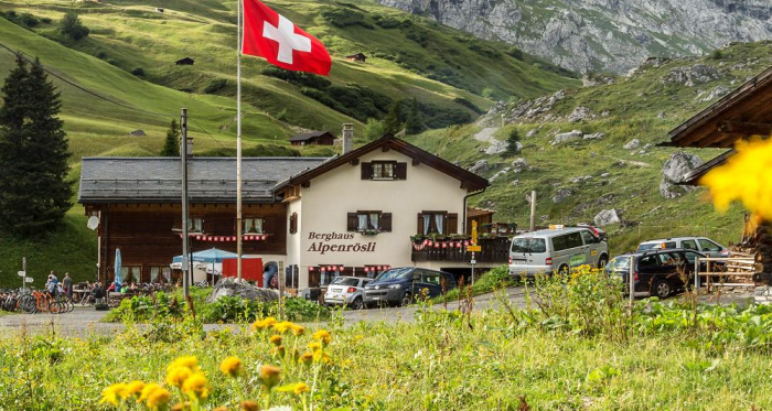 Alpenrösli im Sommer