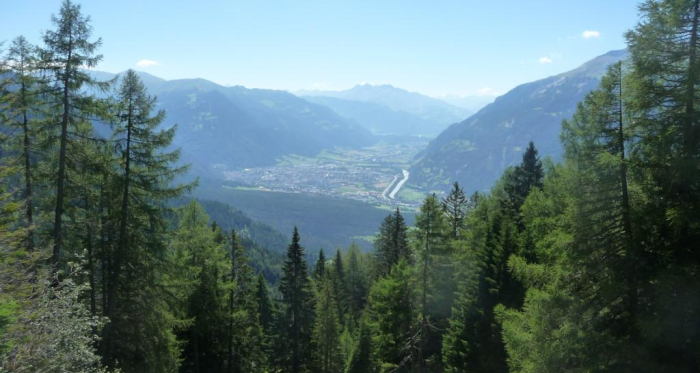 Aussicht aus dem Wald