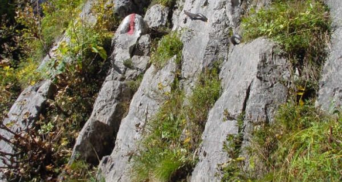 Einstieg Sitzstein, sehr schöne Kletterstelle