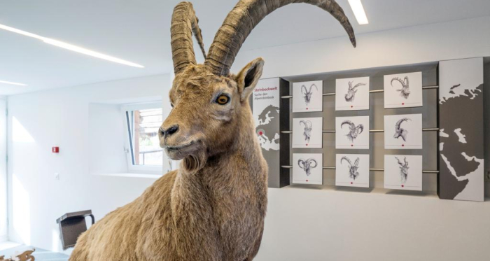 Capricorn Ausstellung