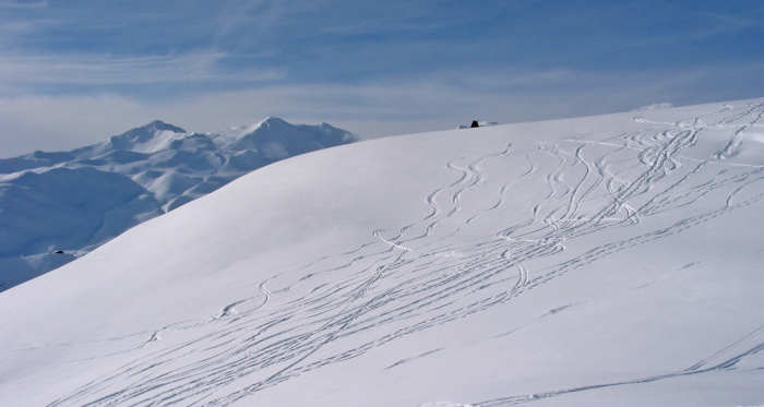 Skitour auf den Schafberg