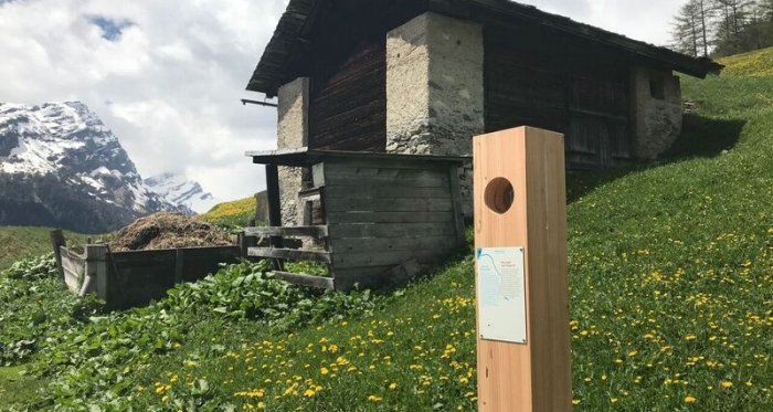 Rheinquellweg Landwirtschaft