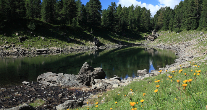 Lagh da Val Viola