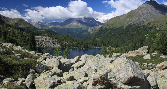 Lagh da Val Viola