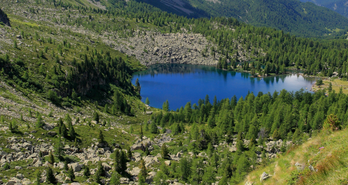 Lagh da Val Viola