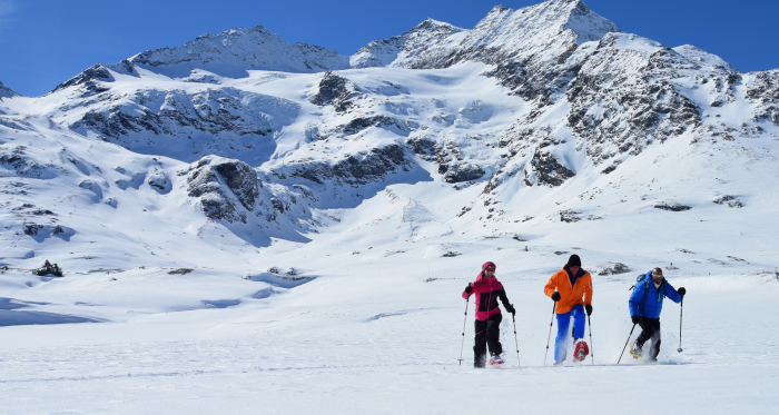 Schneeschuhwanderung Alp Bondo Schneeschuhwanderung Alp Bondo
