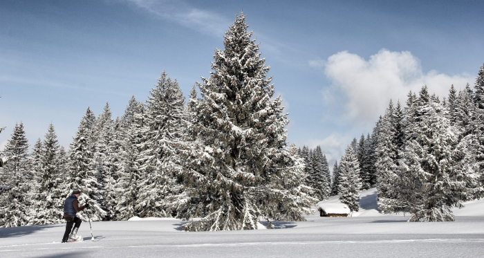 Unterwegs in der Schneeschuh-Arena Prättigau Unterwegs in der Schneeschuh-Arena Prättigau
