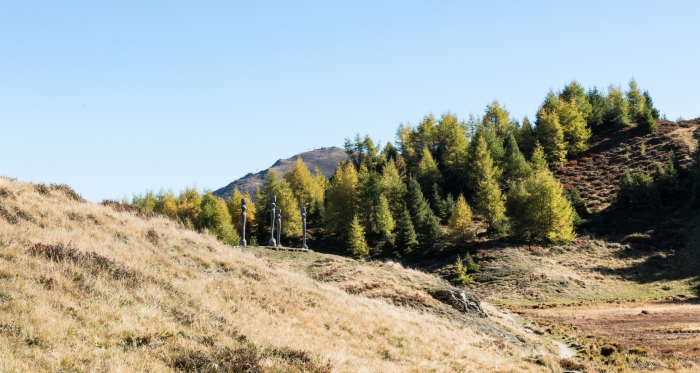 Panoramaweg Feldis im Herbst Panoramaweg Feldis im Herbst