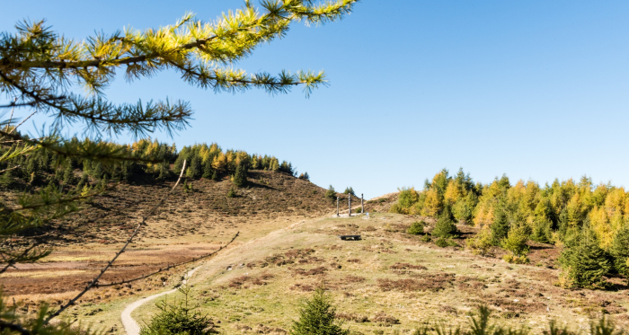 Panoramaweg Feldis im Herbst Panoramaweg Feldis im Herbst